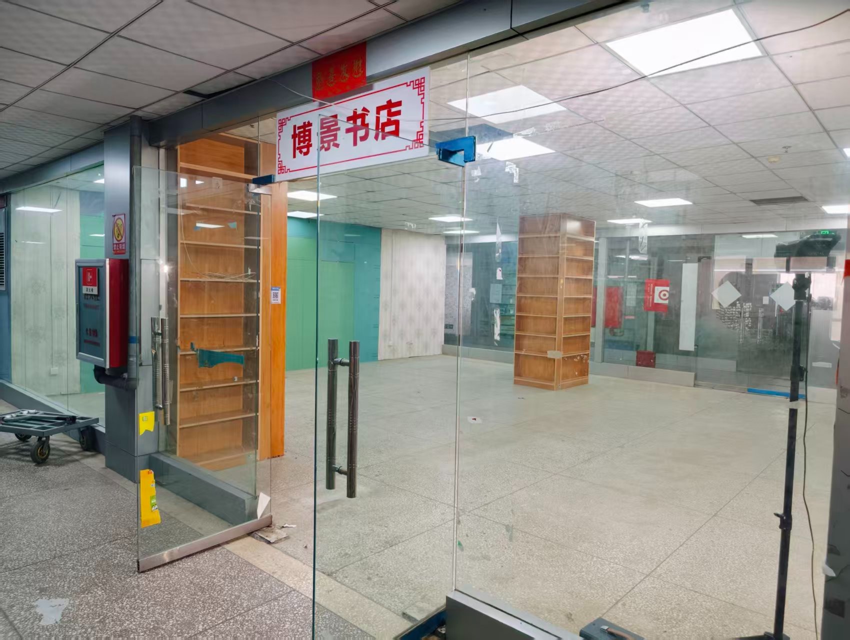 新区AI浪潮已至，优质企业抢先布局