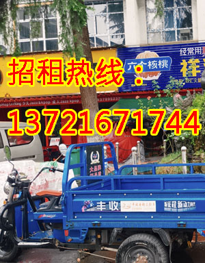 新区1